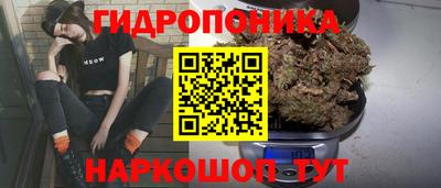 apvp Пенза