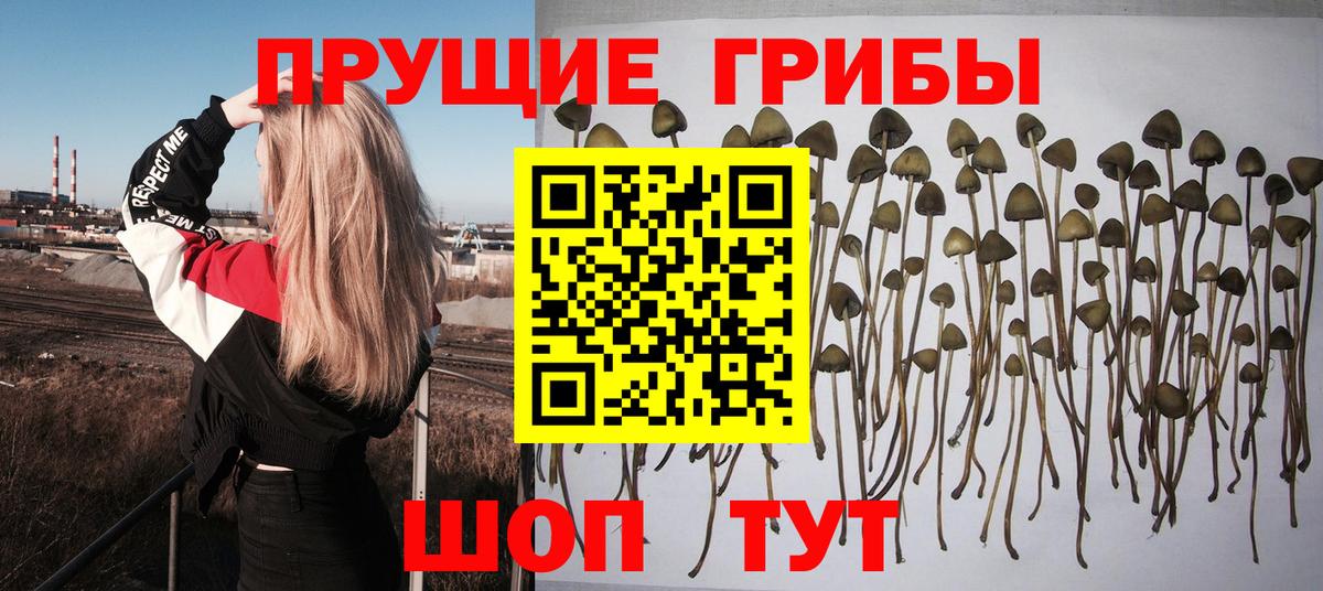 Ханты-Мансийск  Псилоцибиновые грибы Psilocybine cubensis  Псилоцибиновые грибы мухоморы  Вход с VPN 